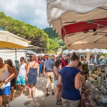 Magnifique Studio A 50M De La Plage De Cavaliere - Studio Tamarindo ル・ラヴァンドゥー エクステリア 写真