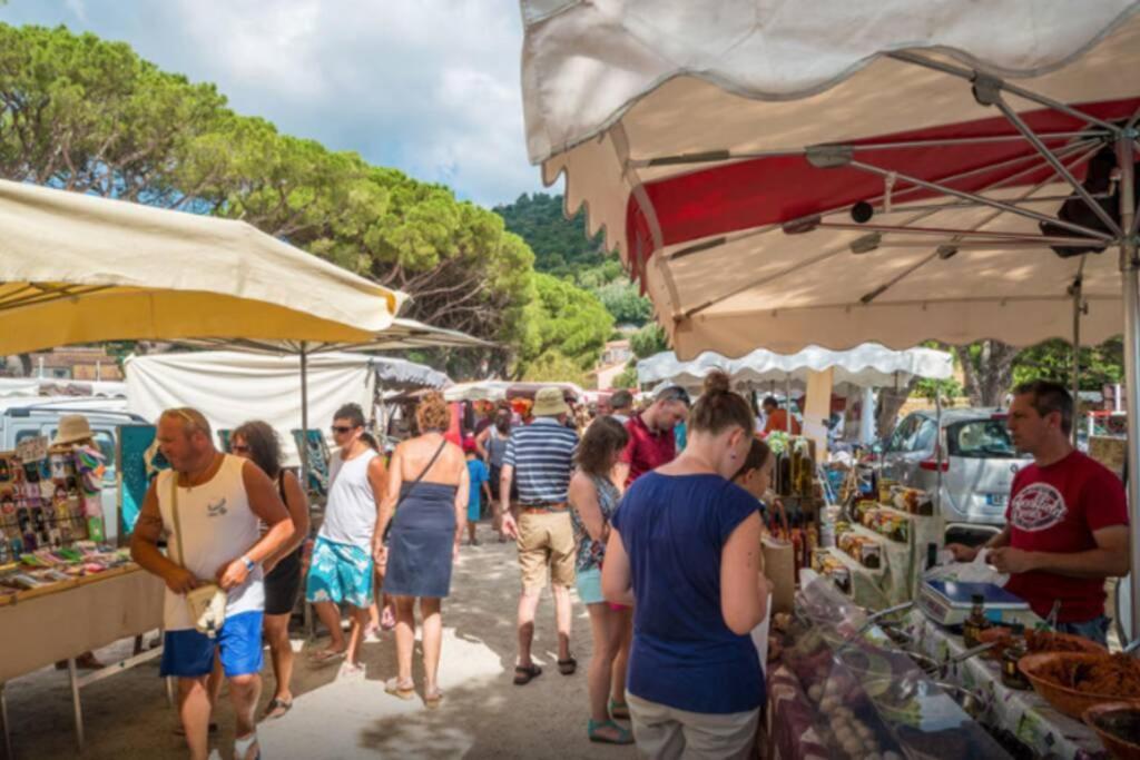 Magnifique Studio A 50M De La Plage De Cavaliere - Studio Tamarindo ル・ラヴァンドゥー エクステリア 写真