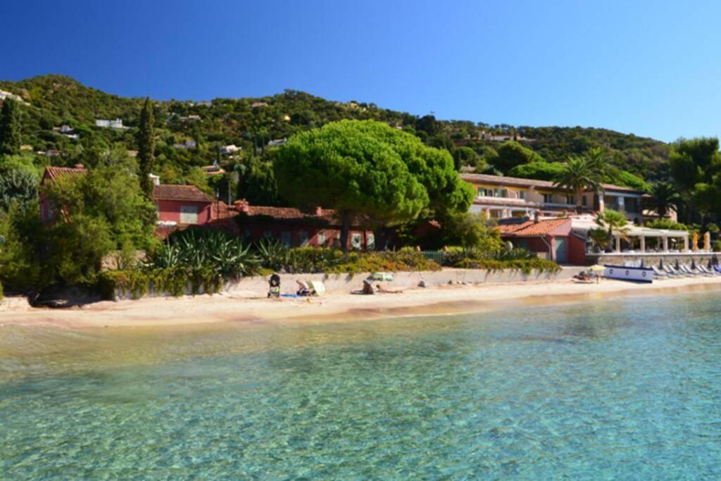 Magnifique Studio A 50M De La Plage De Cavaliere - Studio Tamarindo ル・ラヴァンドゥー エクステリア 写真