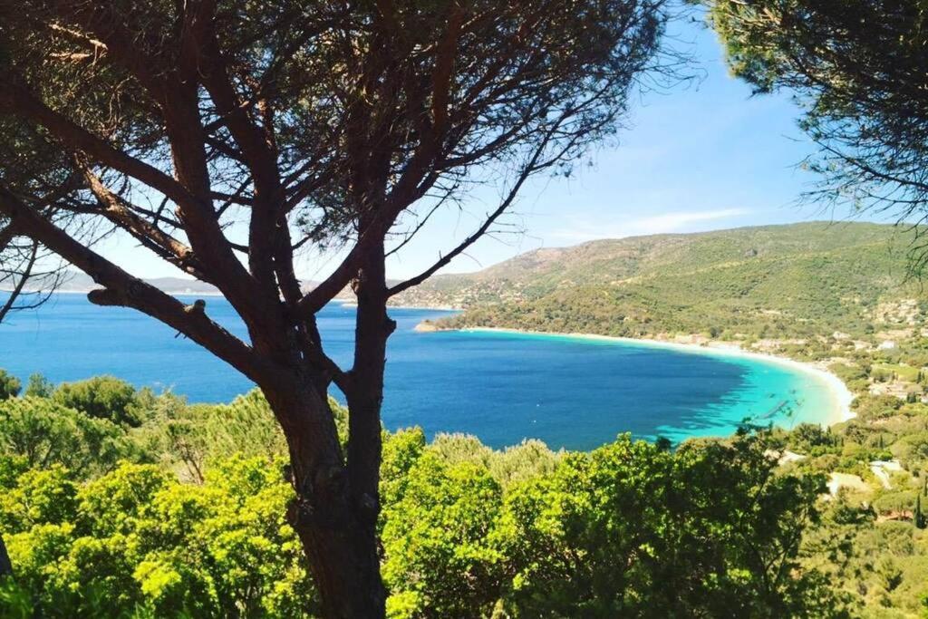 Magnifique Studio A 50M De La Plage De Cavaliere - Studio Tamarindo ル・ラヴァンドゥー エクステリア 写真