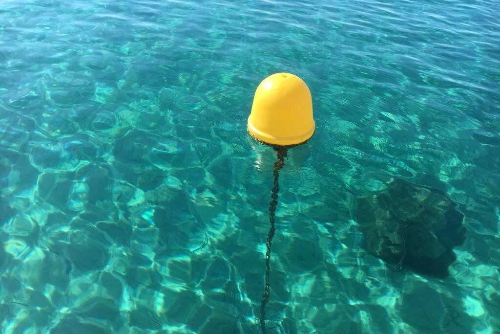 Magnifique Studio A 50M De La Plage De Cavaliere - Studio Tamarindo ル・ラヴァンドゥー エクステリア 写真
