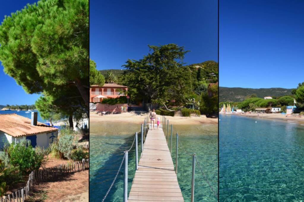 Magnifique Studio A 50M De La Plage De Cavaliere - Studio Tamarindo ル・ラヴァンドゥー エクステリア 写真